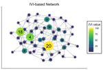 Centrality-based Network Visualization