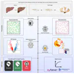 ExIR enables prioritizing driver and biomarker genes from omics data in a reference free manner